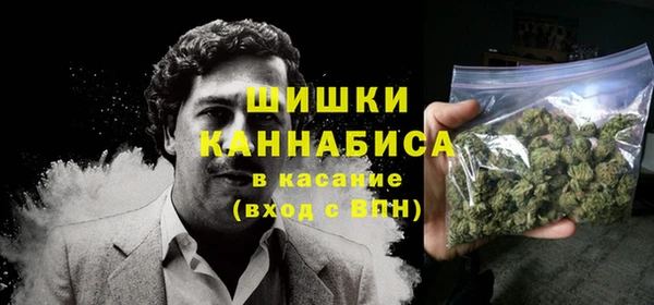 прущие грибы Верхнеуральск