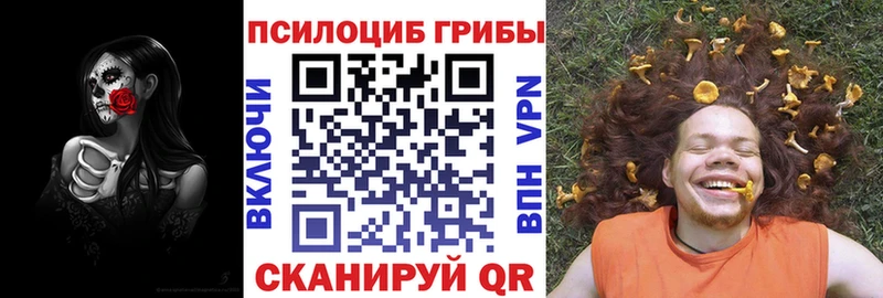 цена   Благовещенск  Галлюциногенные грибы мухоморы 